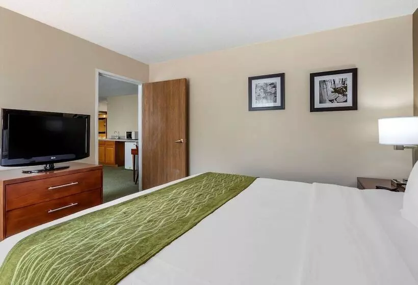 酒店 Comfort Inn Muscatine Near Hwy 61