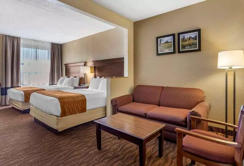 هتل Comfort Inn & Suites Branson Meadows