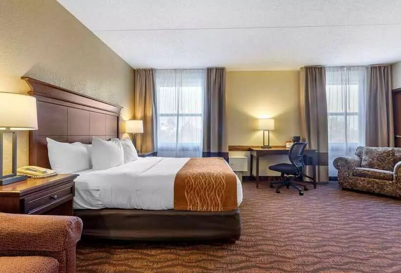 هتل Comfort Inn & Suites Branson Meadows