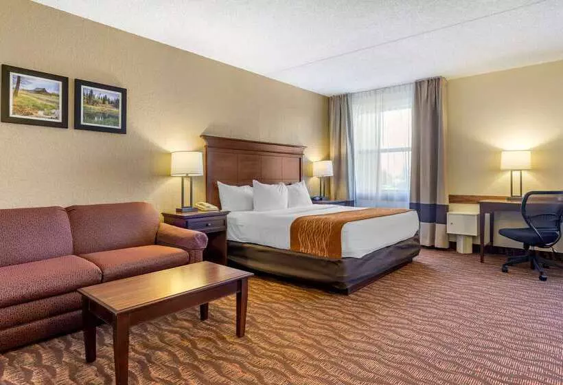 هتل Comfort Inn & Suites Branson Meadows