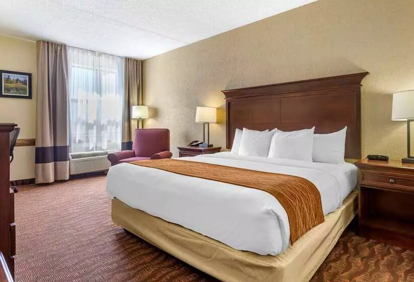 هتل Comfort Inn & Suites Branson Meadows
