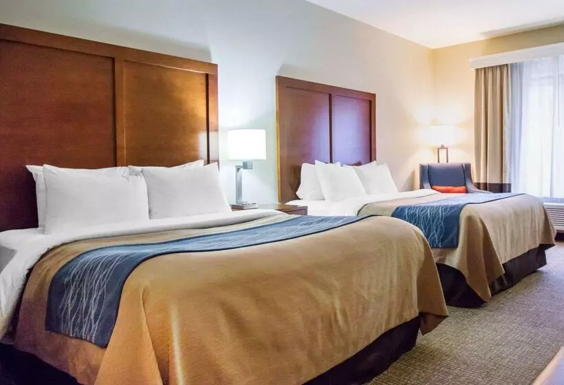 Hôtel Comfort Inn & Suites Deadwood