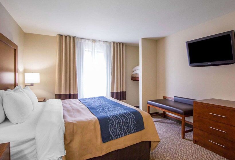 فندق Comfort Inn & Suites Deadwood