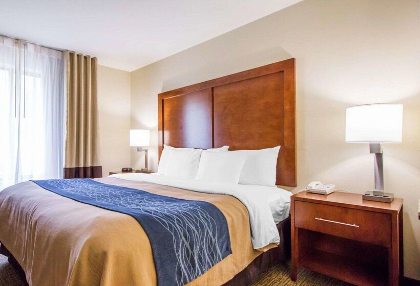 فندق Comfort Inn & Suites Deadwood