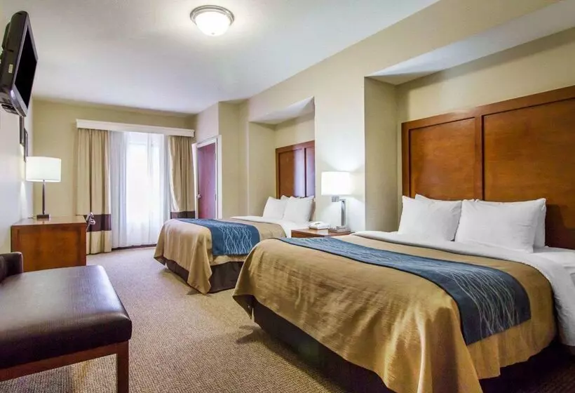 Hôtel Comfort Inn & Suites Deadwood