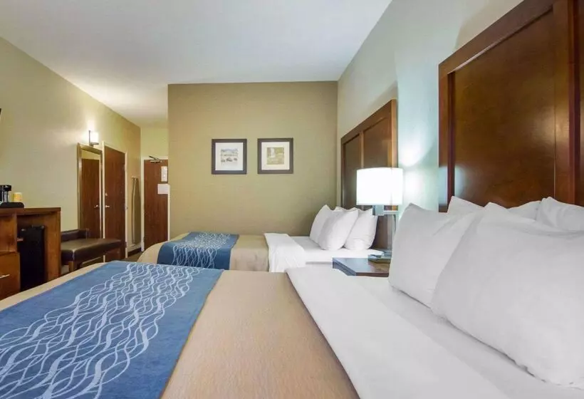 Hôtel Comfort Inn & Suites Deadwood