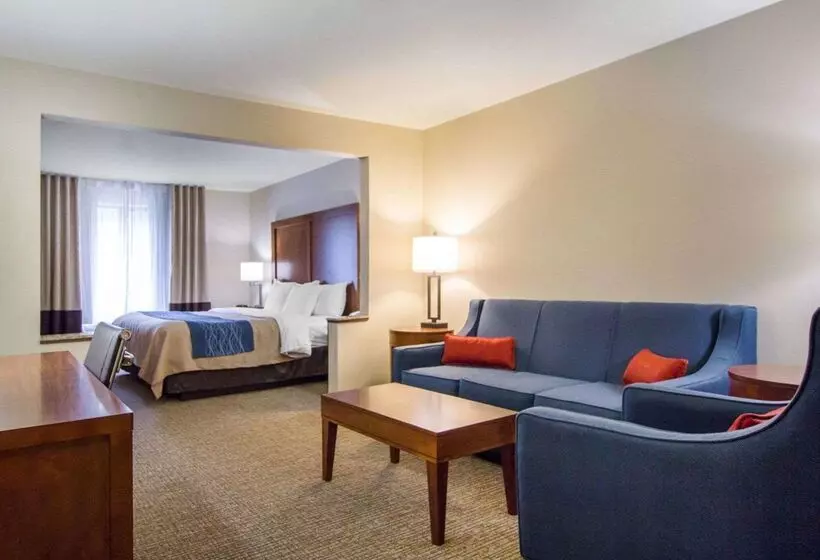 Hôtel Comfort Inn & Suites Deadwood