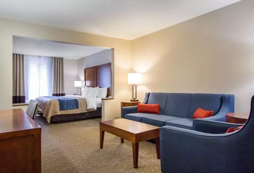 Hôtel Comfort Inn & Suites Deadwood