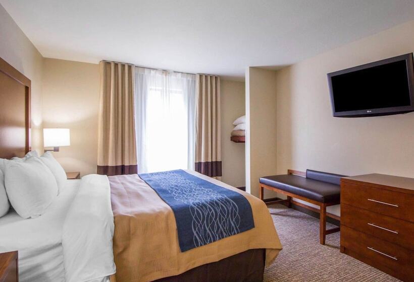 فندق Comfort Inn & Suites Deadwood