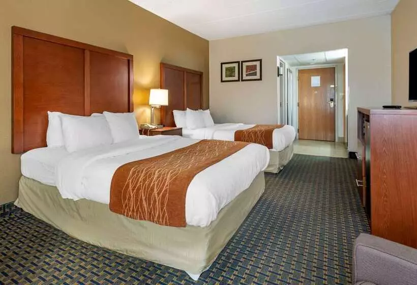 酒店 Comfort Inn