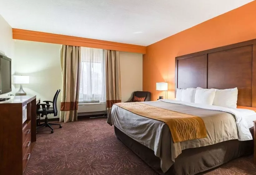 酒店 Econo Lodge Inn & Suites East Houston I10
