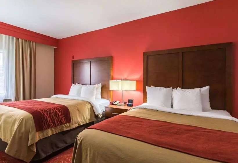 酒店 Econo Lodge Inn & Suites East Houston I10