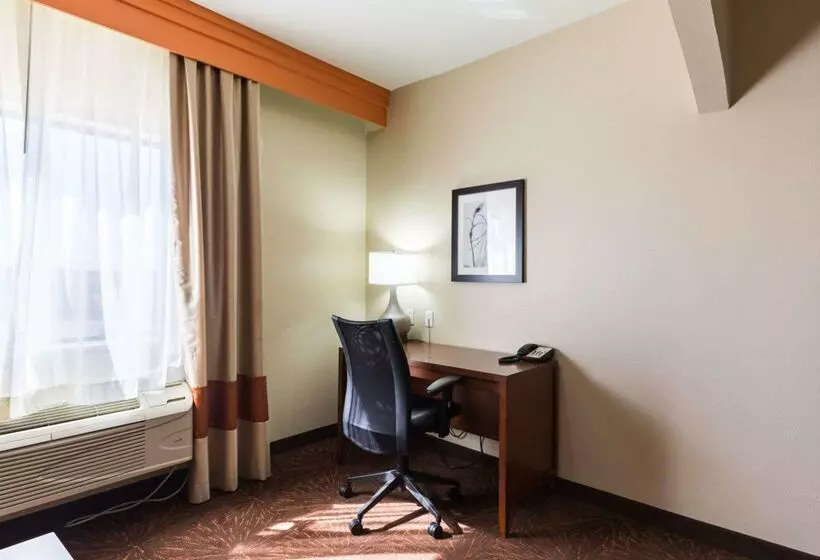 酒店 Econo Lodge Inn & Suites East Houston I10