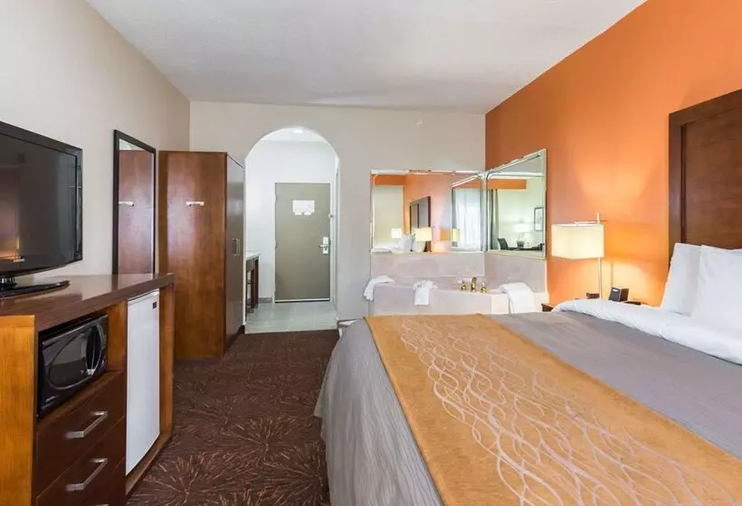 酒店 Econo Lodge Inn & Suites East Houston I10