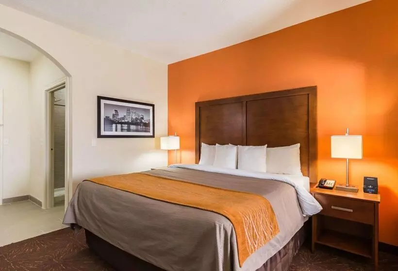 酒店 Econo Lodge Inn & Suites East Houston I10