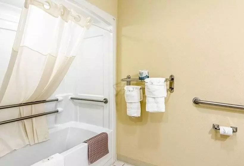 Отель Quality Inn Burkeville Hwy 360 & 460