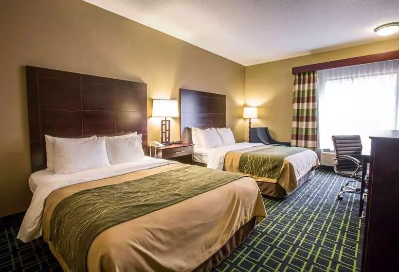 ホテル Quality Inn