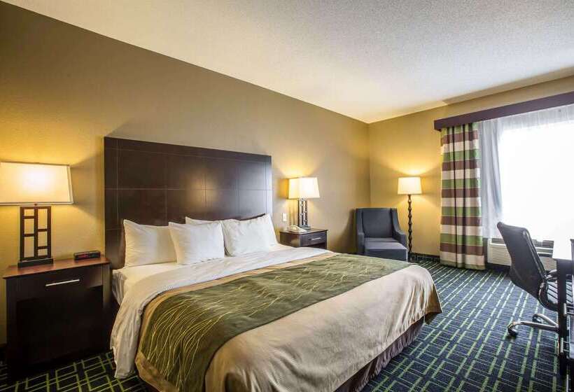 ホテル Quality Inn