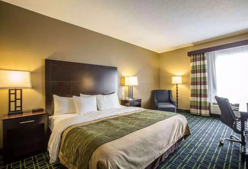 ホテル Quality Inn