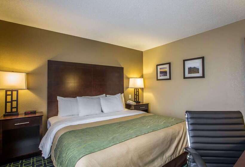 ホテル Quality Inn