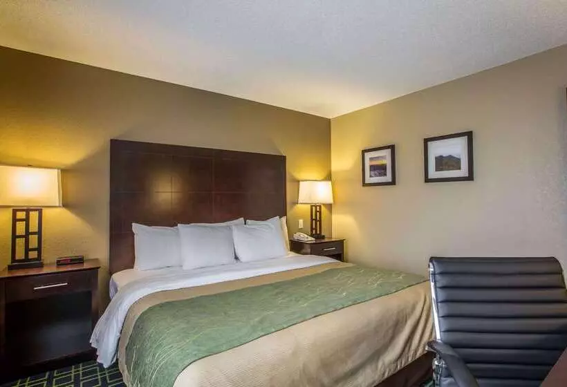 ホテル Quality Inn