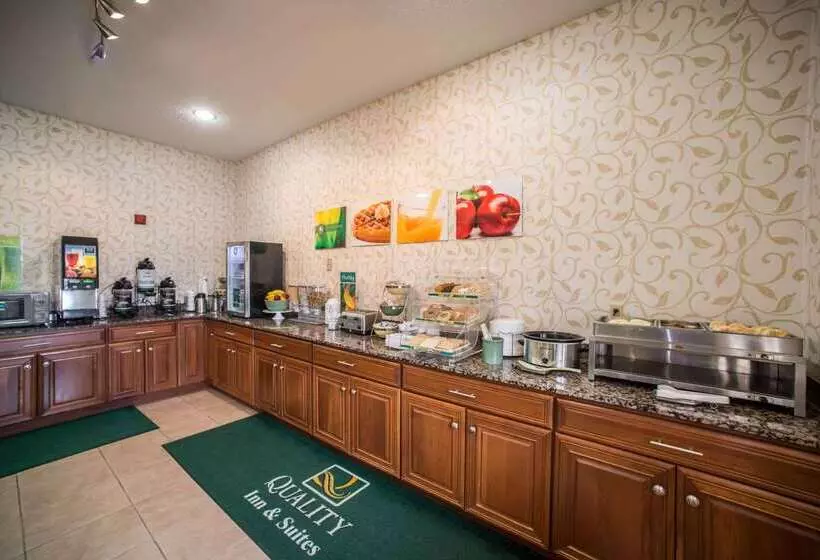 ホテル Quality Inn Litchfield Route 66