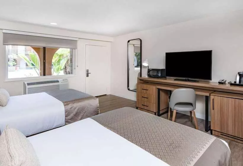 酒店 Wyndham Garden San Diego