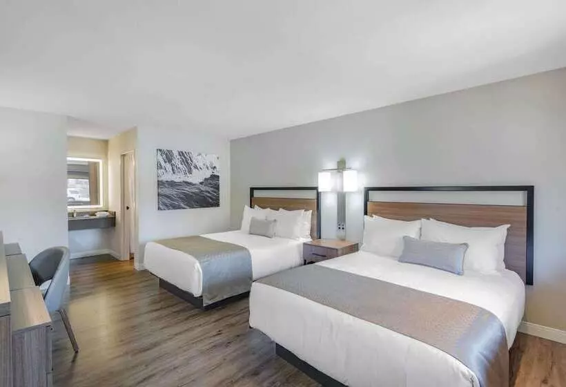 酒店 Wyndham Garden San Diego