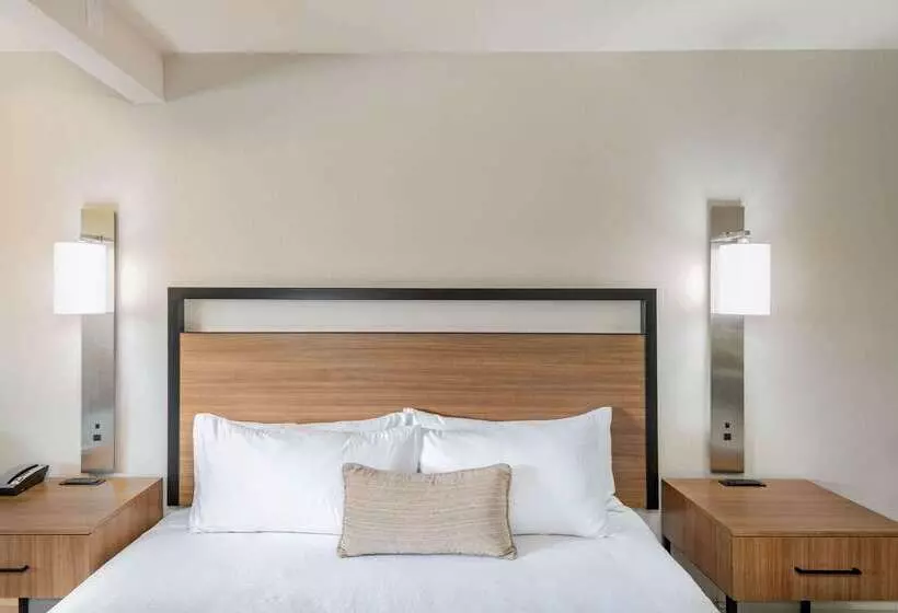 酒店 Wyndham Garden San Diego