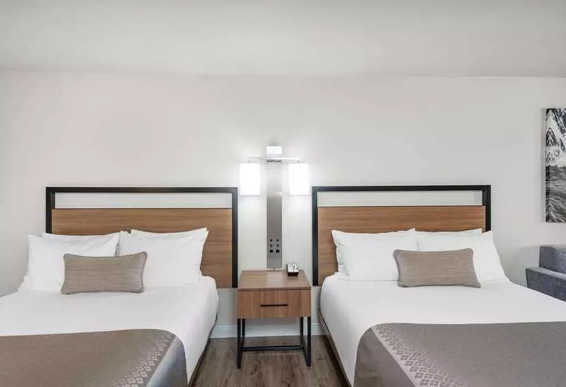 酒店 Wyndham Garden San Diego