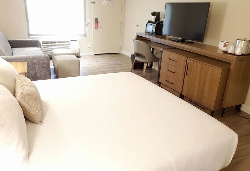 فندق Wyndham Garden San Diego