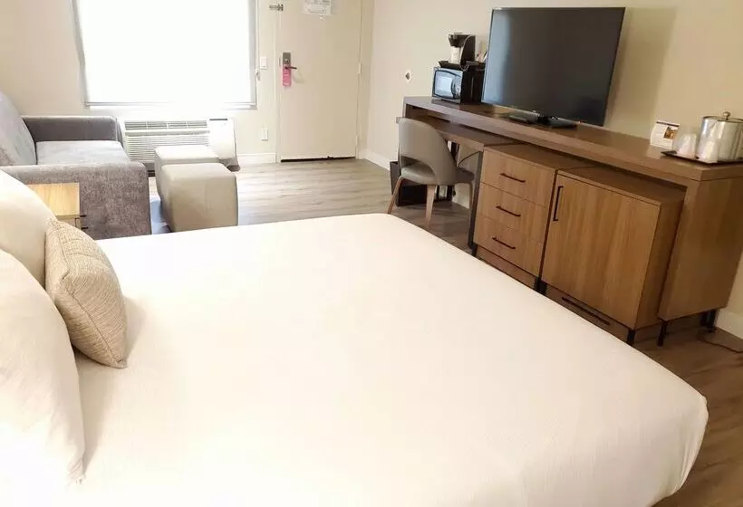 酒店 Wyndham Garden San Diego