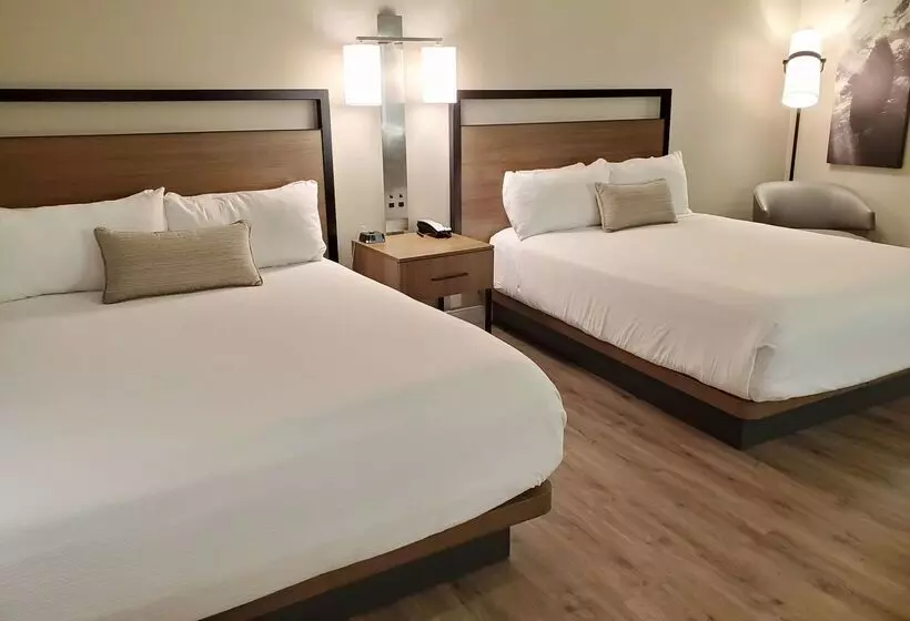 酒店 Wyndham Garden San Diego