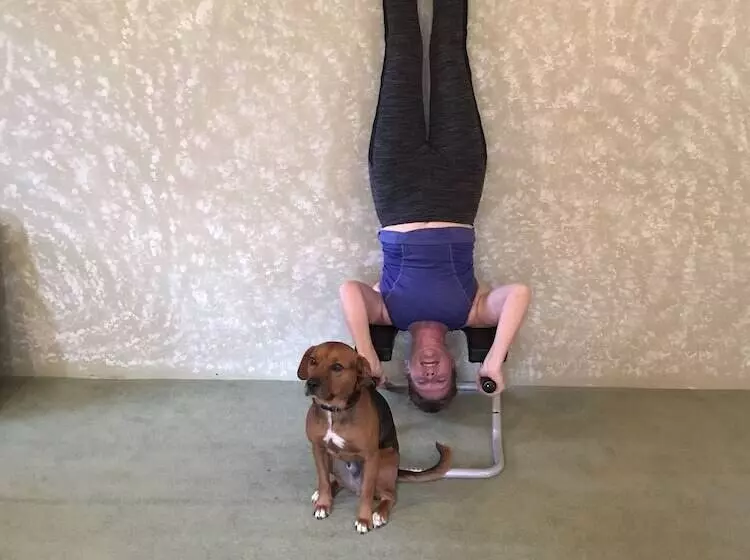 Aamiaismajoitus (B&B) Sewall House Yoga Retreat