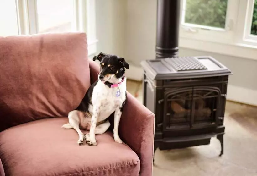 Azalea Inn Bed & Breakfast