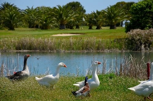 בית מלון כפרי Club Il Baricentro