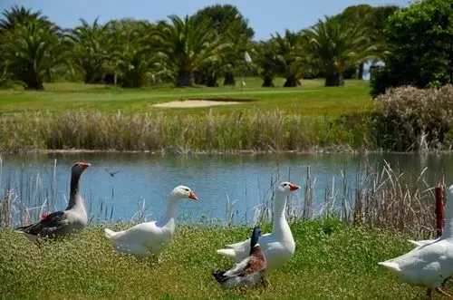 Отель Club Il Baricentro