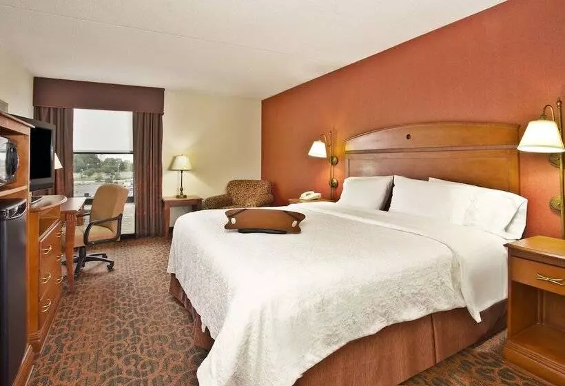 ホテル Hampton Inn Anderson
