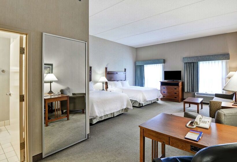 فندق Hampton Inn Bloomsburg