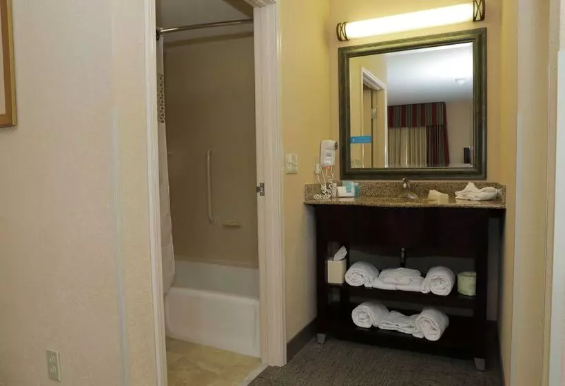 בית מלון כפרי Hampton Inn Clinton