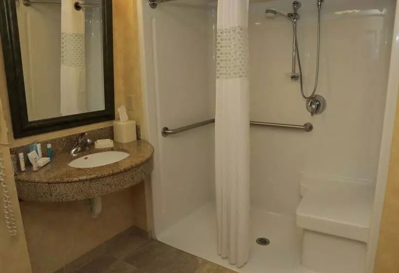 בית מלון כפרי Hampton Inn Clinton