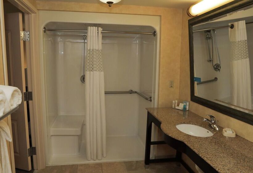 酒店 Hampton Inn Clinton