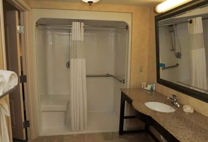 בית מלון כפרי Hampton Inn Clinton