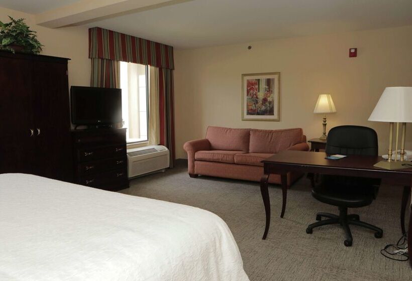 酒店 Hampton Inn Clinton