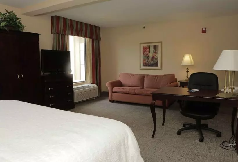 בית מלון כפרי Hampton Inn Clinton