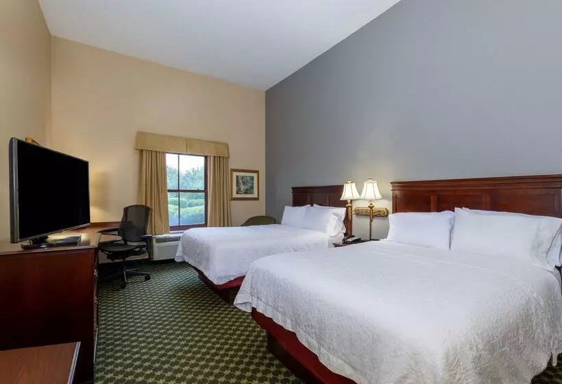 فندق Hampton Inn Lawrenceville Duluth