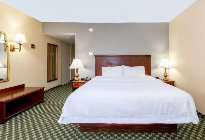 فندق Hampton Inn Lawrenceville Duluth