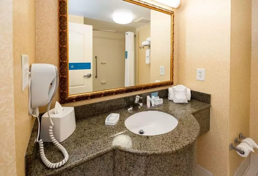 فندق Hampton Inn Lawrenceville Duluth