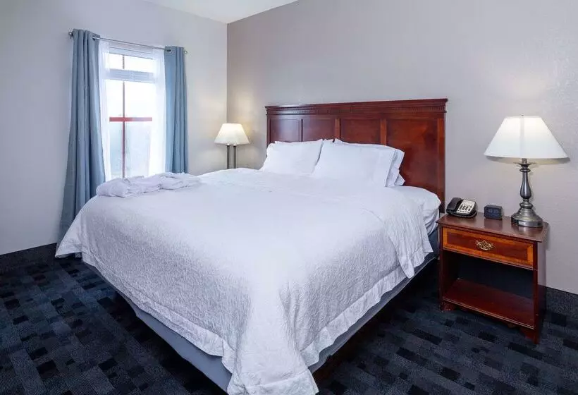 فندق Hampton Inn Lawrenceville Duluth