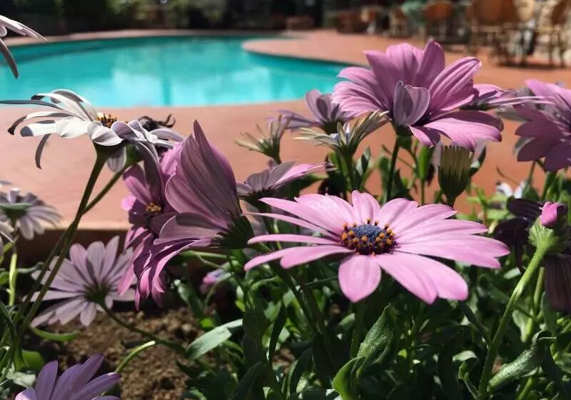 Solofra Palace Hotel & Resort